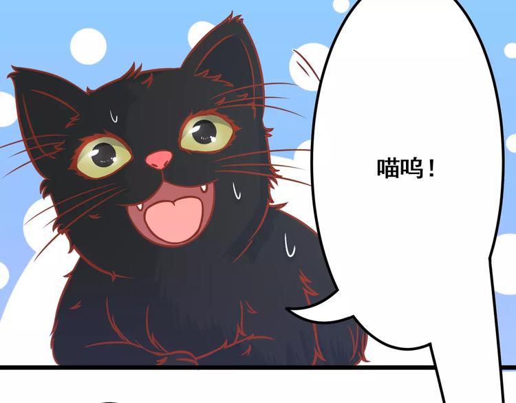 第13话 流浪猫74