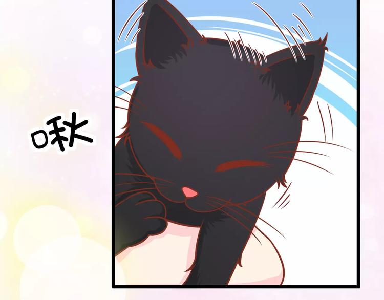 第13话 流浪猫124