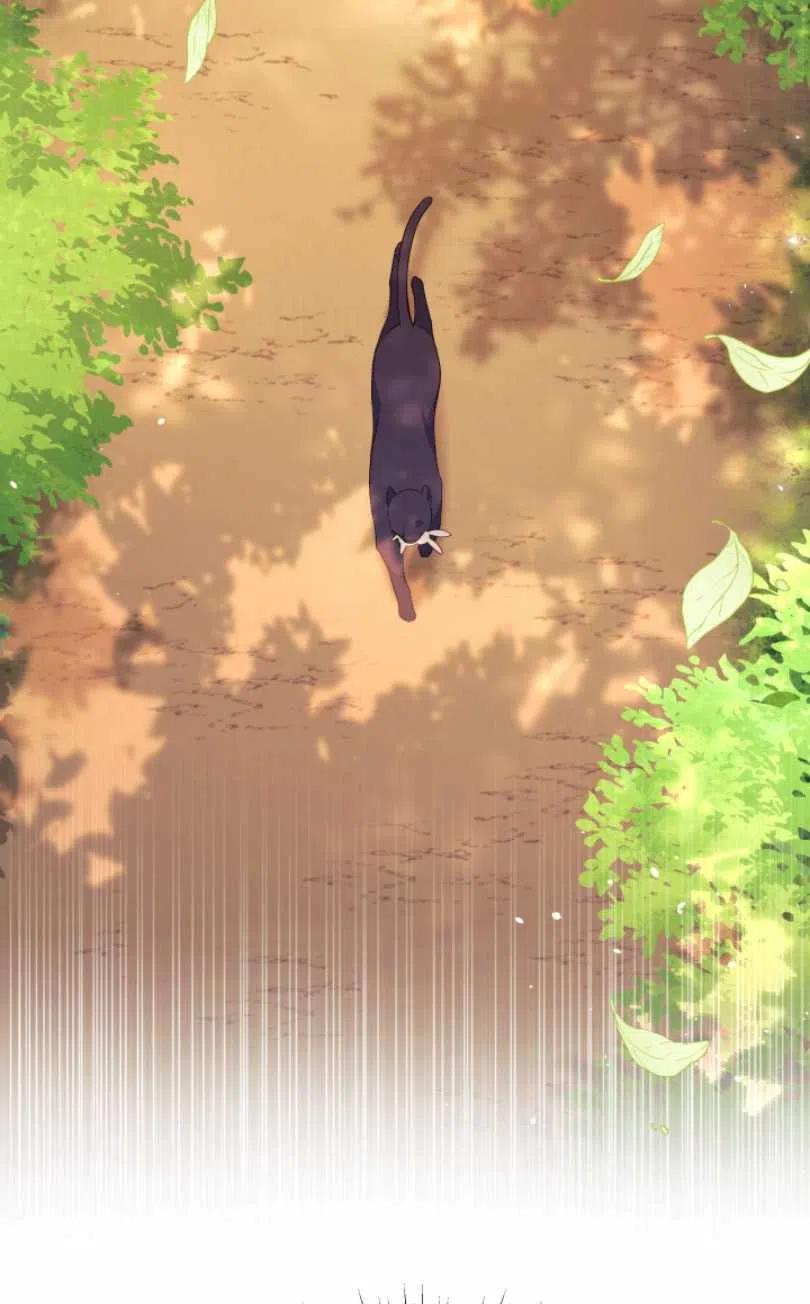 第28话6