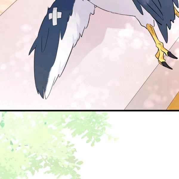 第41话115