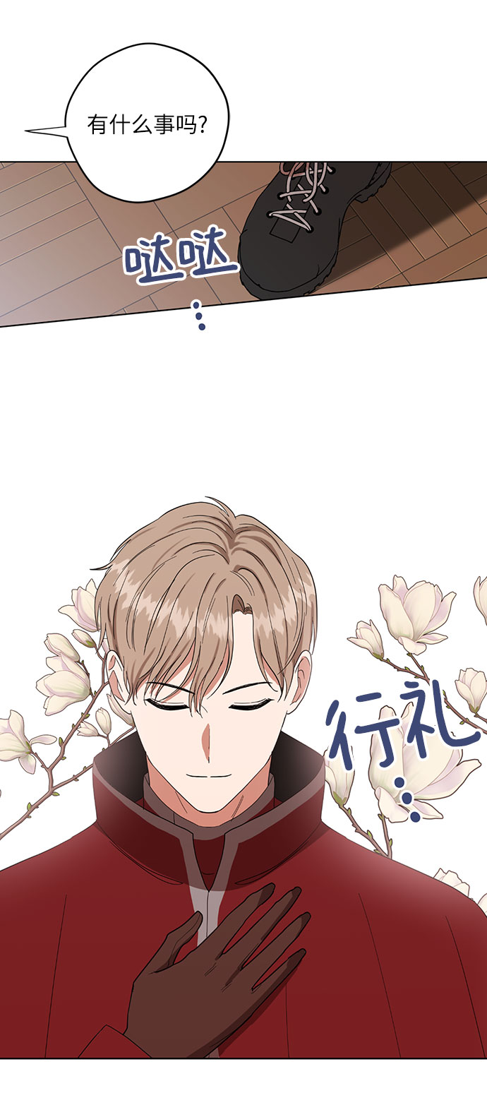 第61话41