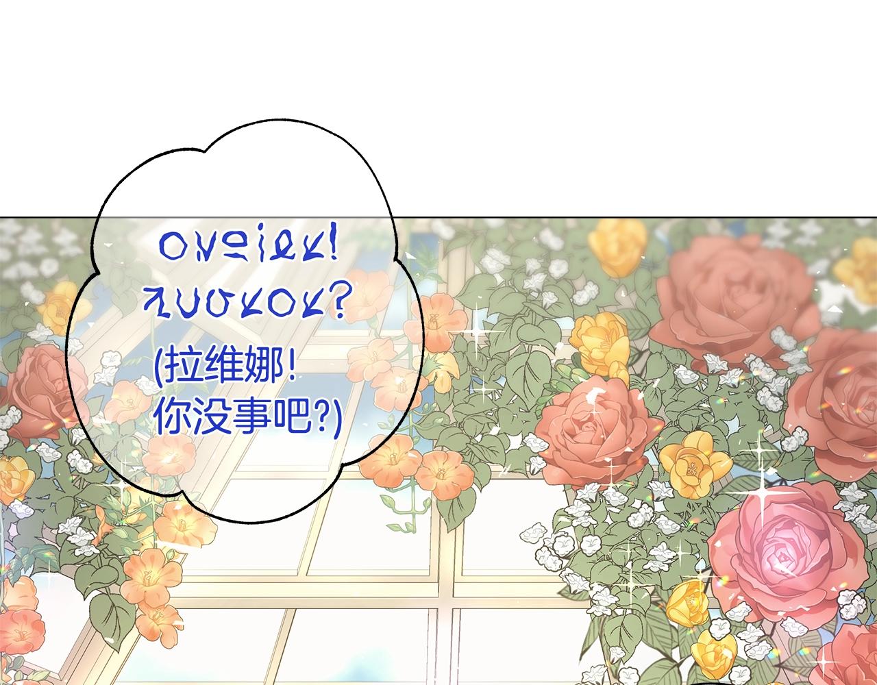 第1话 哥哥保护你250