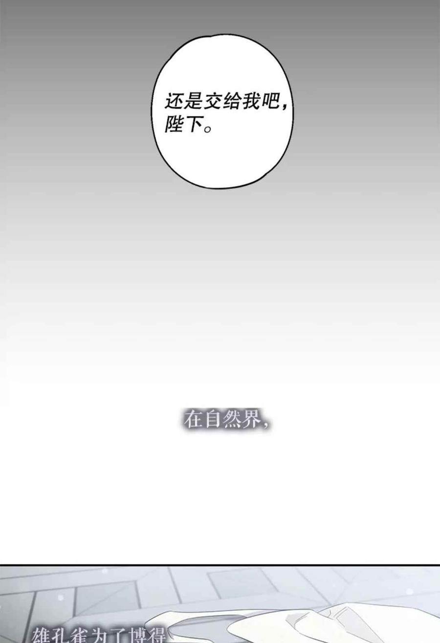 第41话41