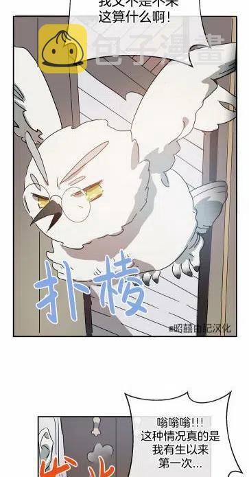 第19话19