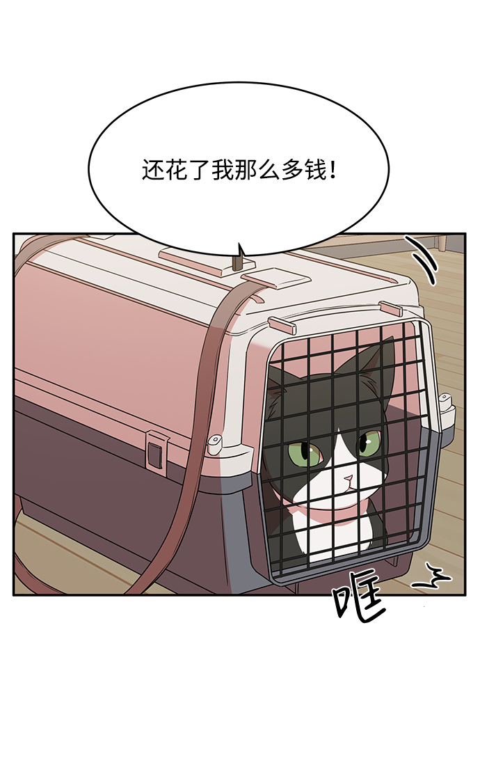 第49话15