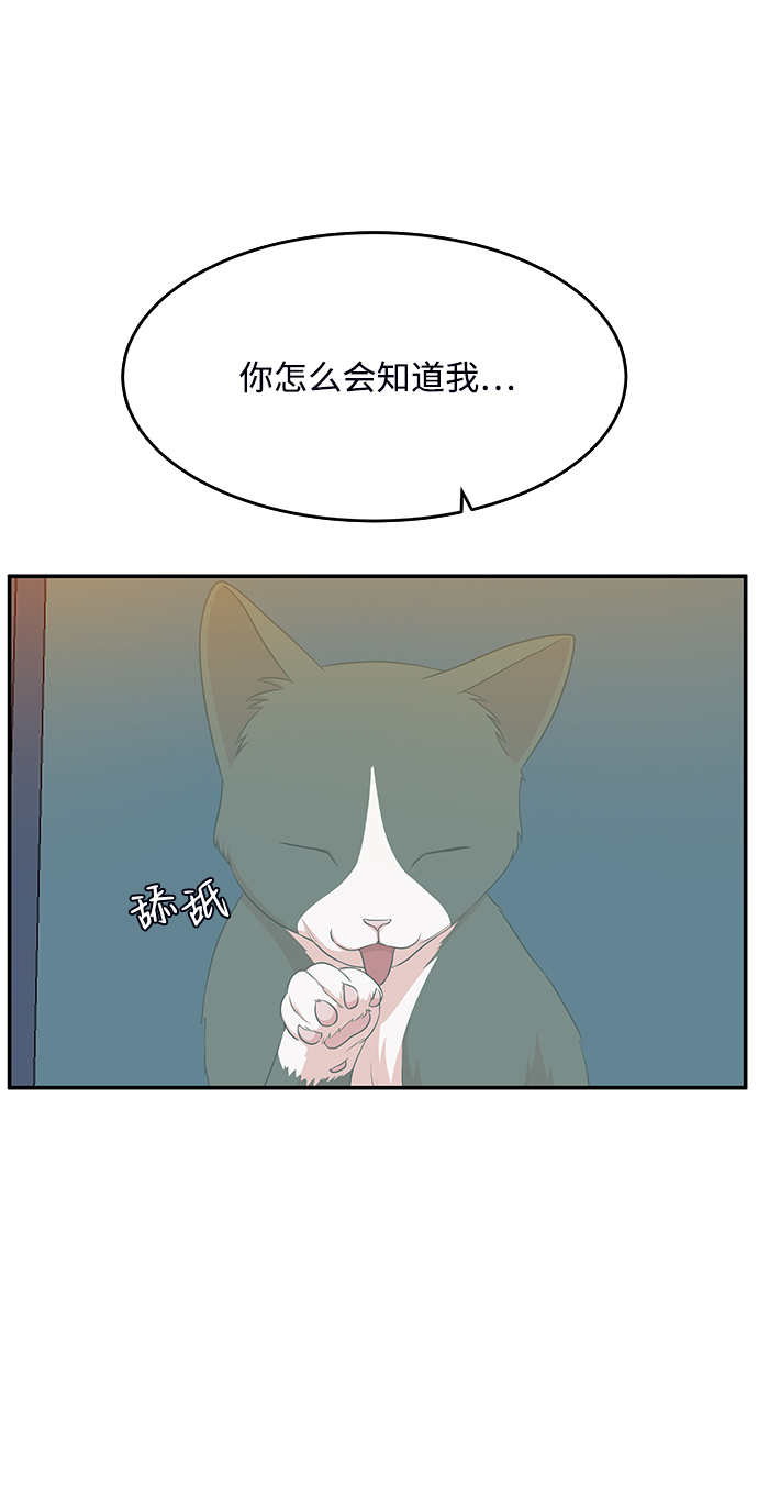 第55话15