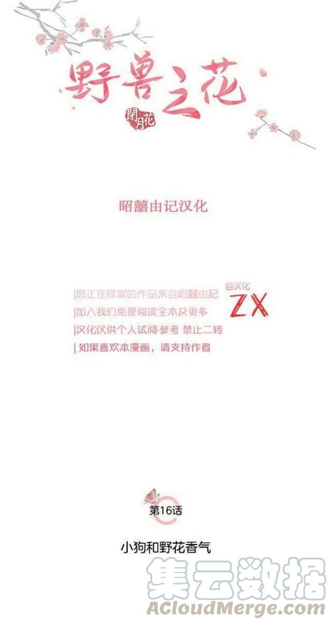 第16话6