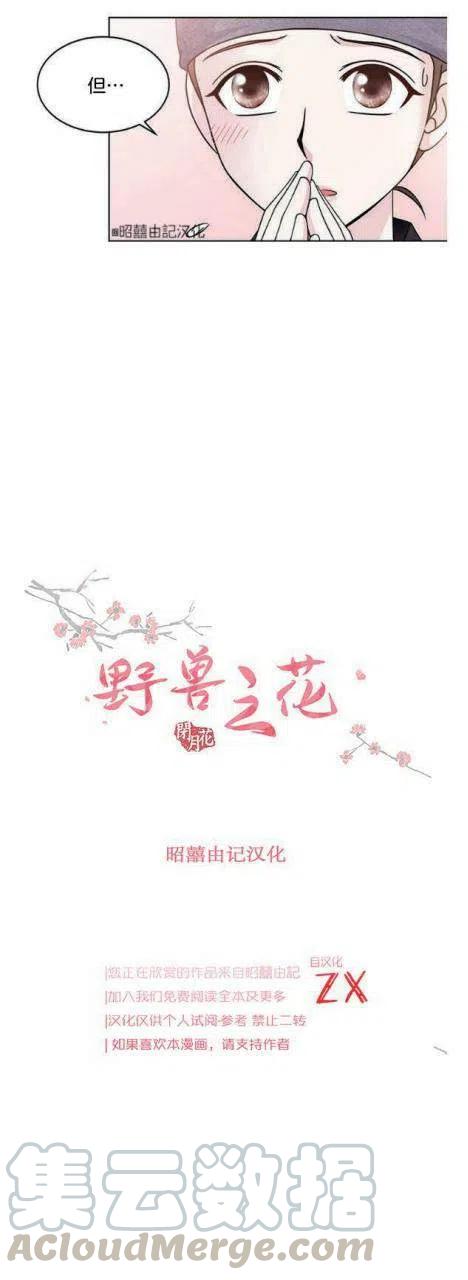 第11话6