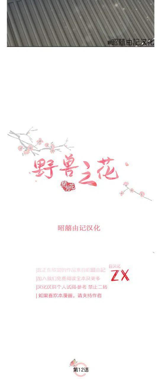 第12话4