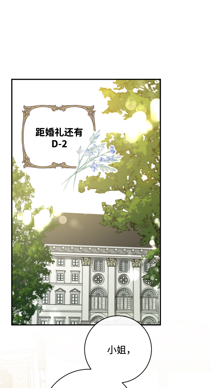 第41话41