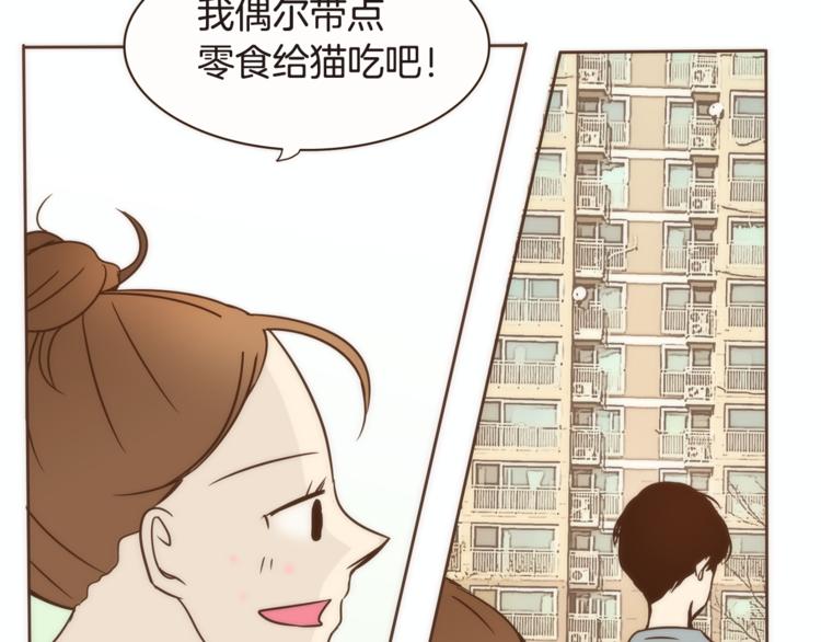 第5话 慌忙之中总会有真相40