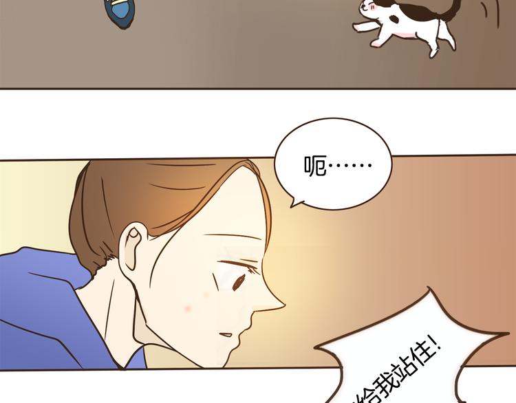 第4话 对平凡的渴望113