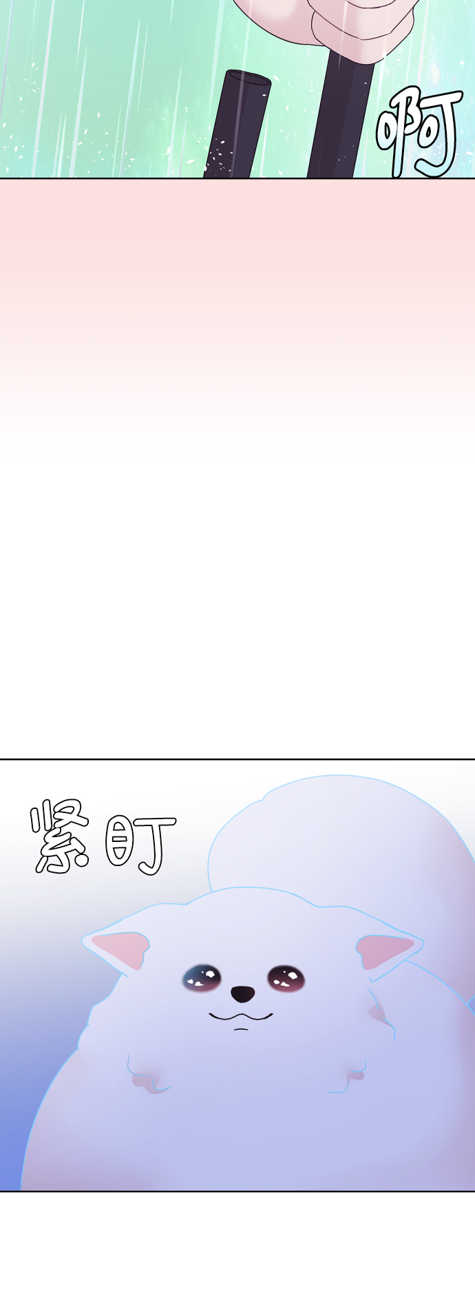 最终话6
