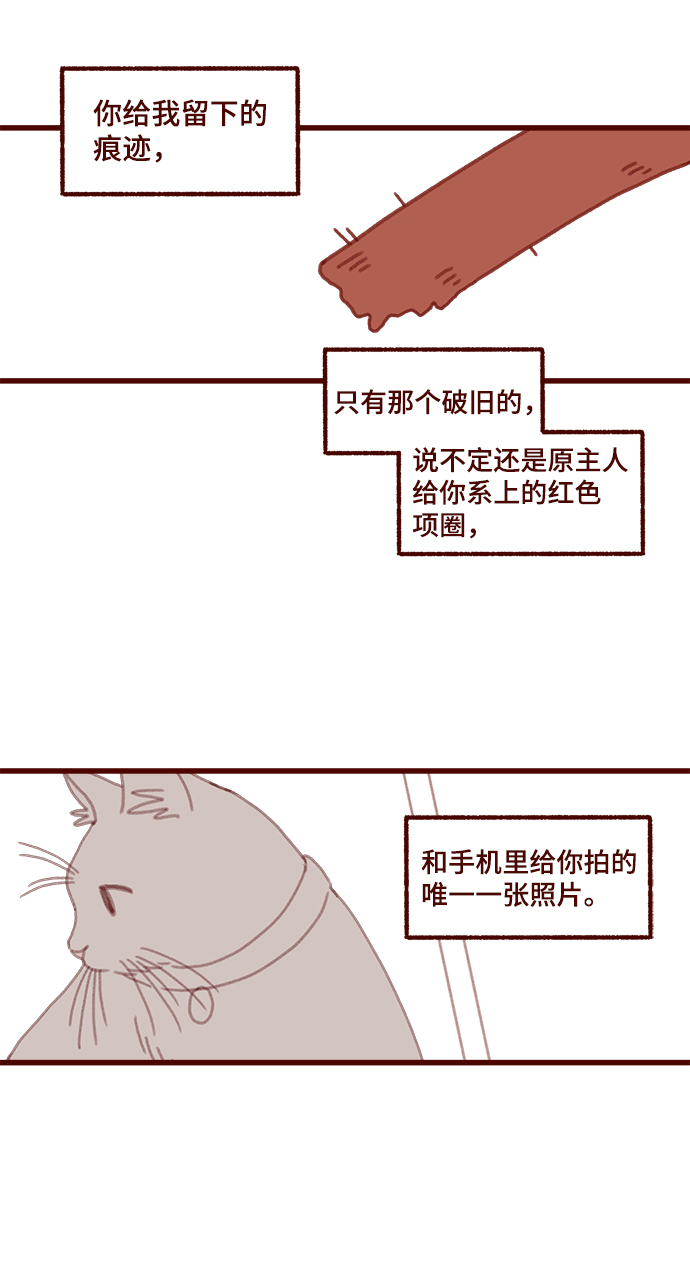 第11话11