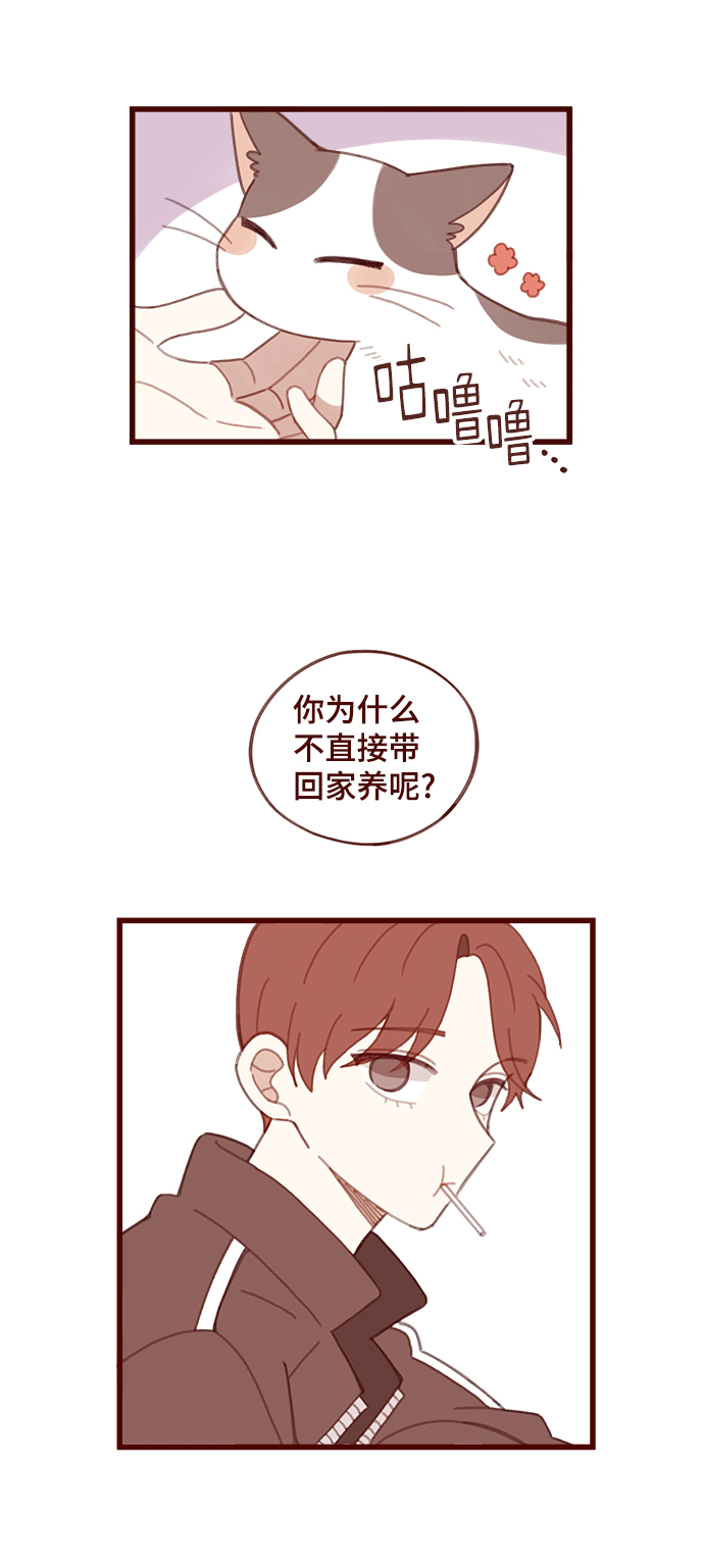 第11话2