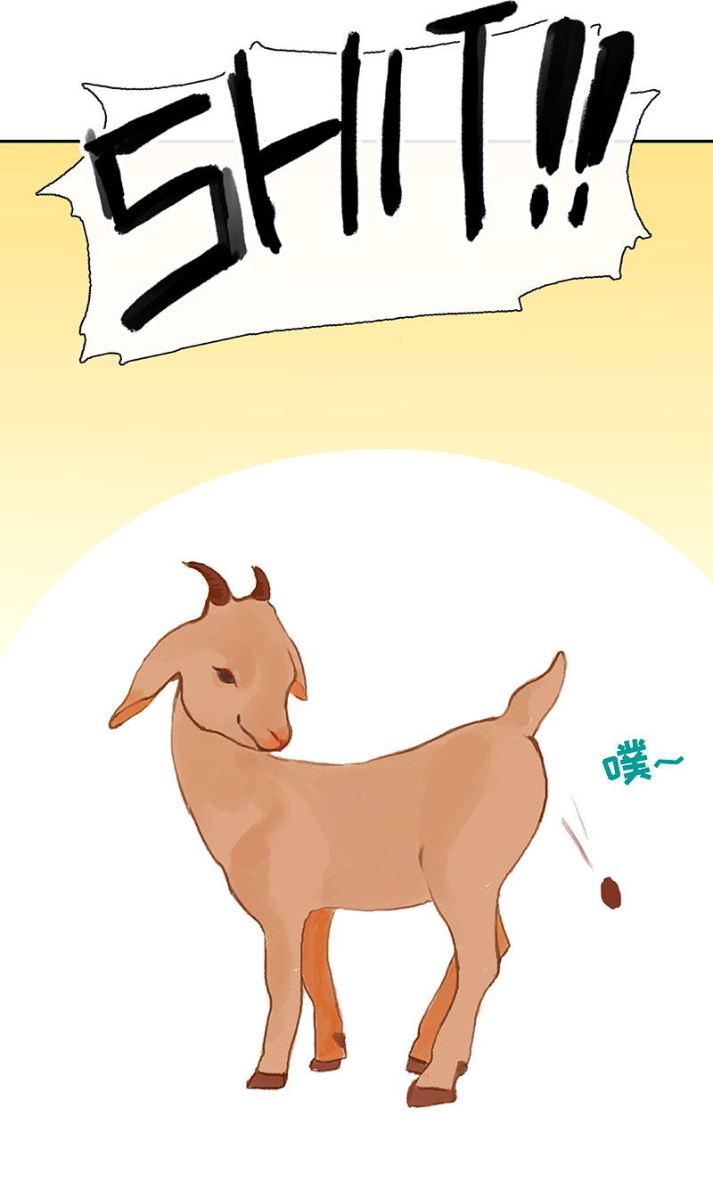 第1话 掉进裤衩子窝11