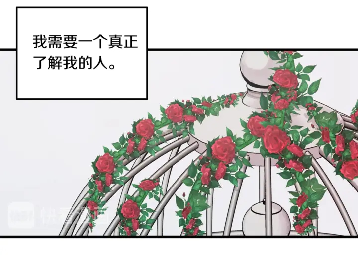 第30话 小王子29