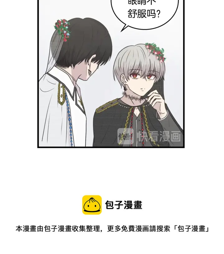 第30话 小王子10