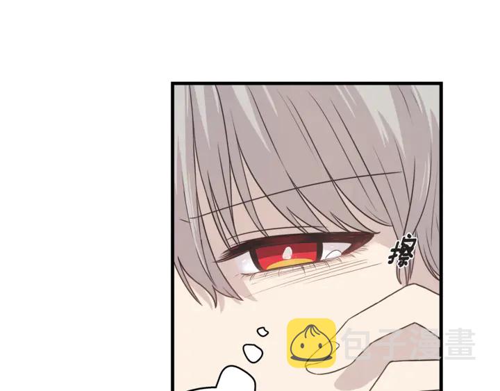 第30话 小王子8
