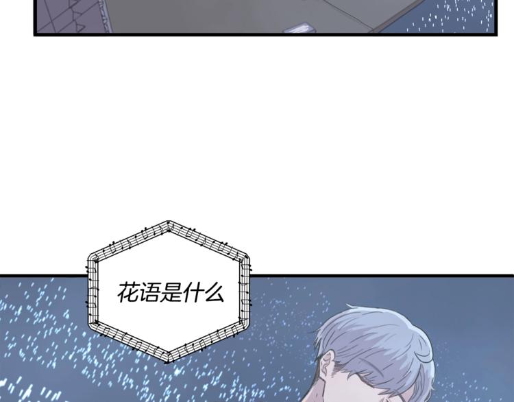 第1话 闪闪发光的大明星5