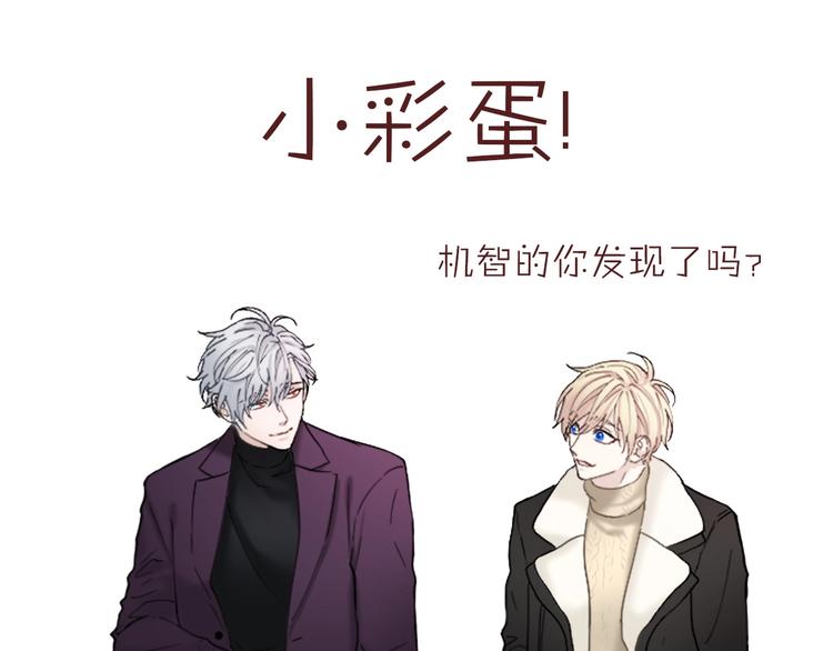 後记 作者的话21