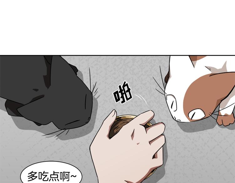 第3话 楼下喂猫的他62