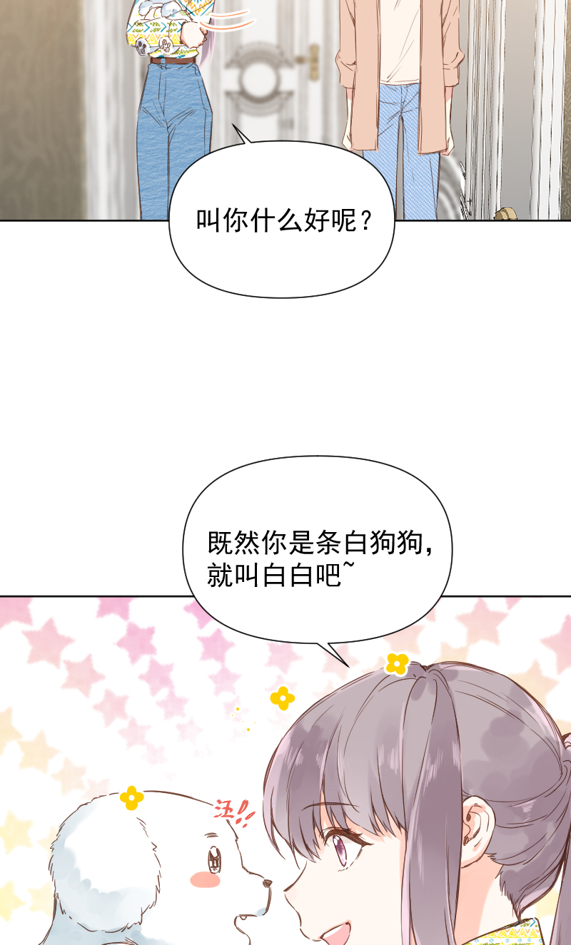 最终话8