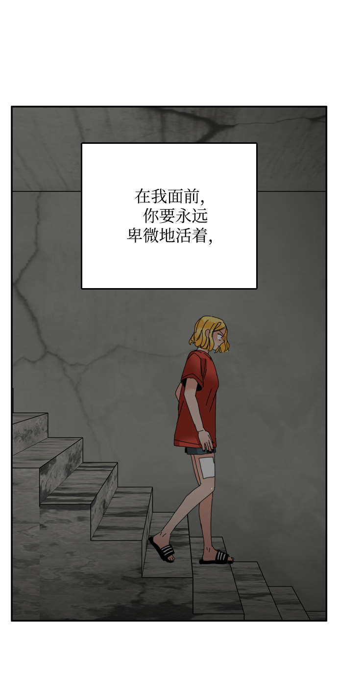 第41话66