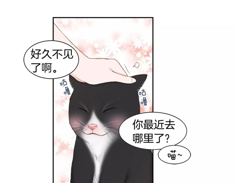 第5话 奇妙的遇见21