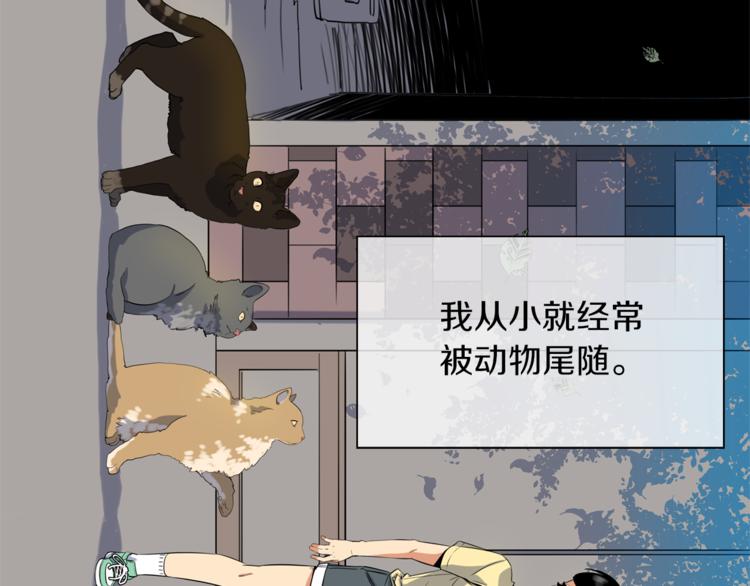 第0+1话 不可思议的经历？4