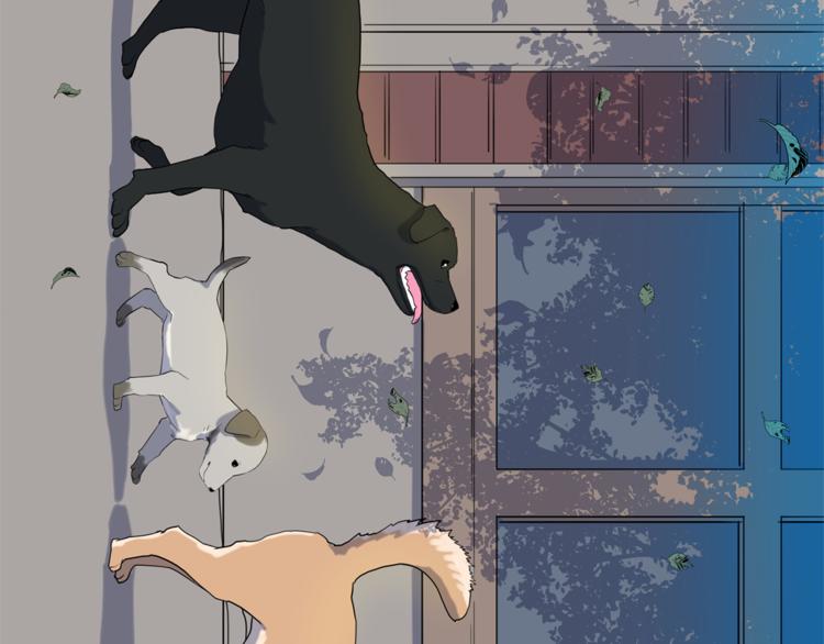 第0+1话 不可思议的经历？2