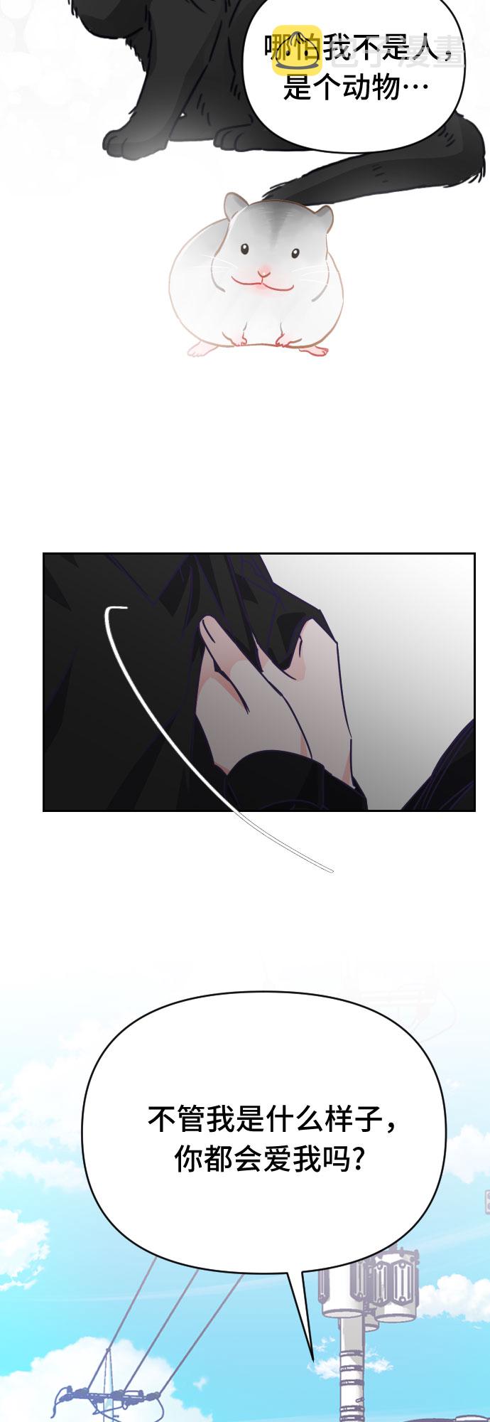 [第65话] 其他子涵的故事（完）+外传26