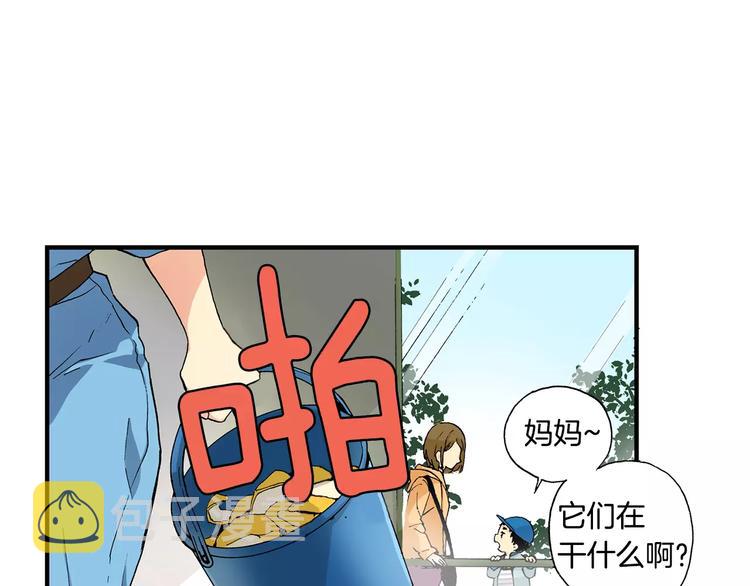 第1话 香蕉被谁吃掉了16