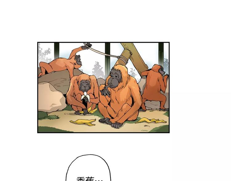 第1话 香蕉被谁吃掉了11