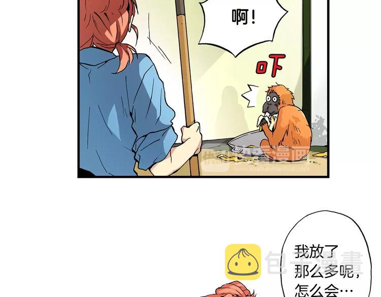 第1话 香蕉被谁吃掉了5
