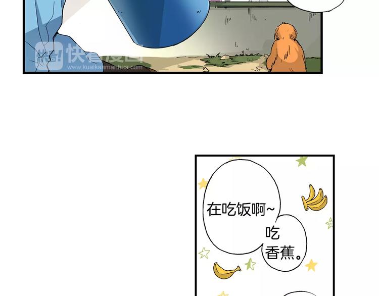 第1话 香蕉被谁吃掉了17