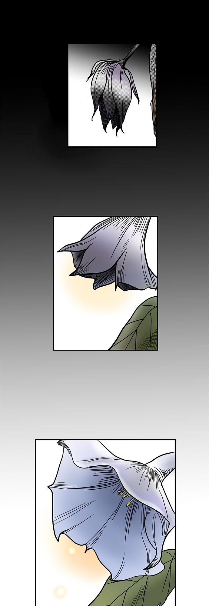 第54话 最终话57