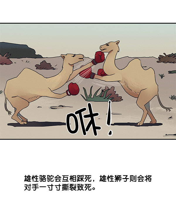 第37话5