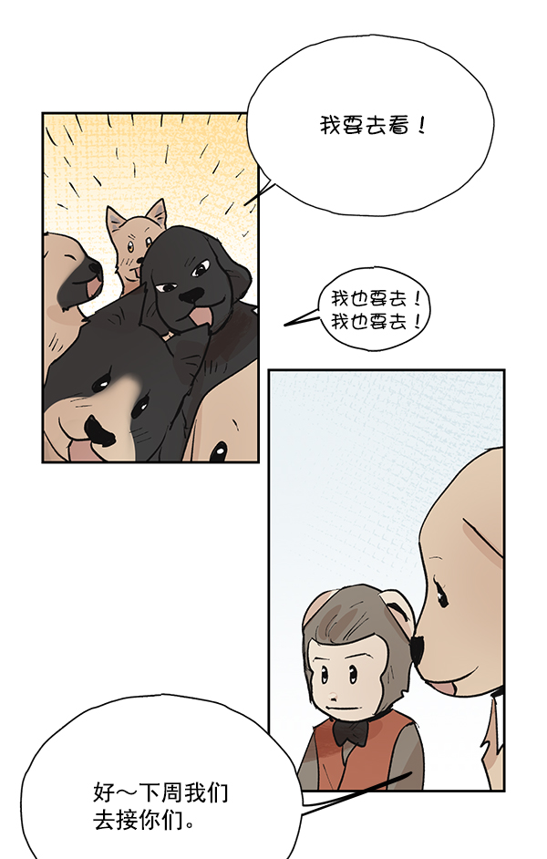 第50话（最终话）33