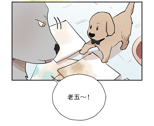 第50话（最终话）16