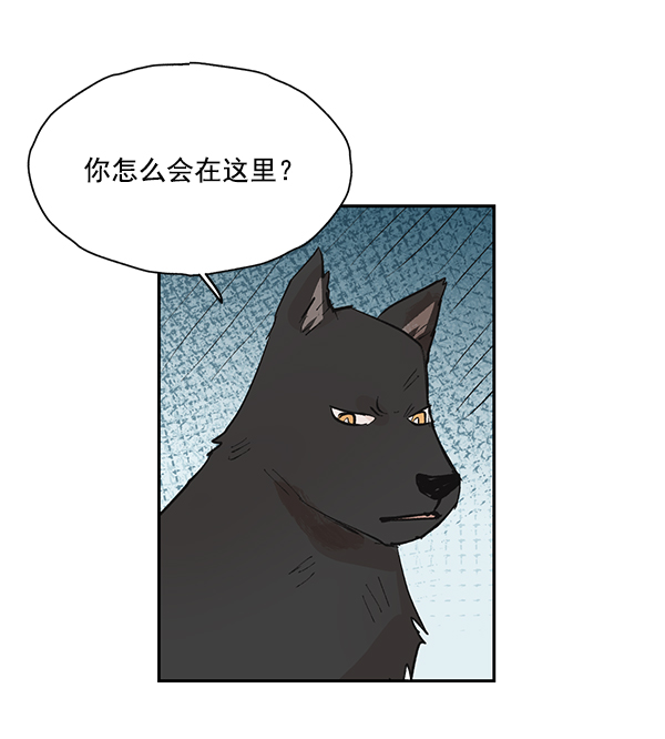 第50话（最终话）3