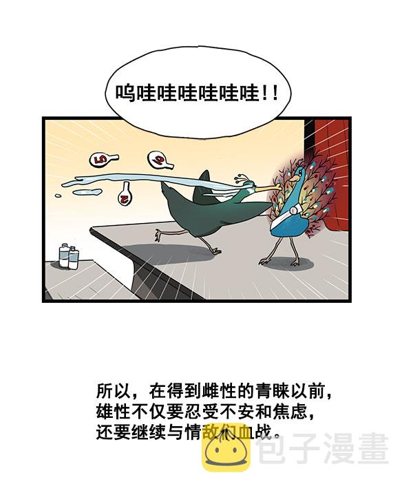 第33话33