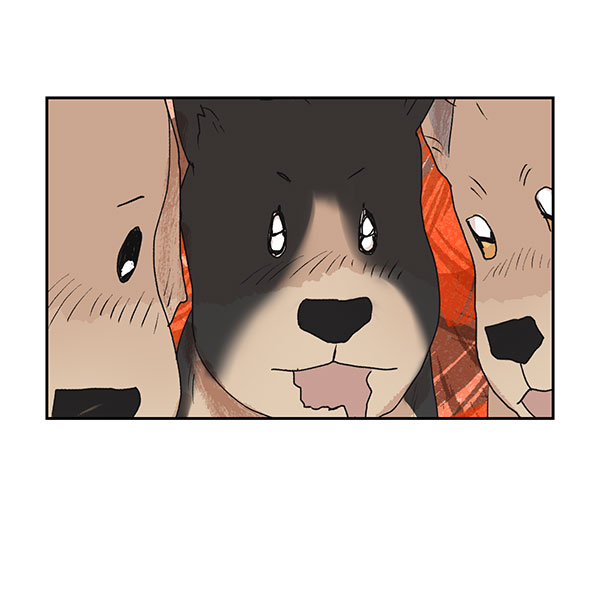 第45话37