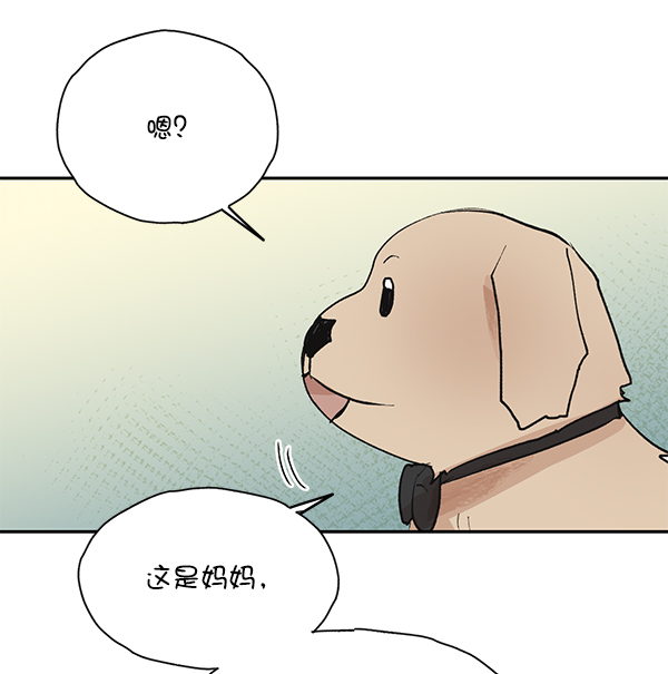 第50话（最终话）18
