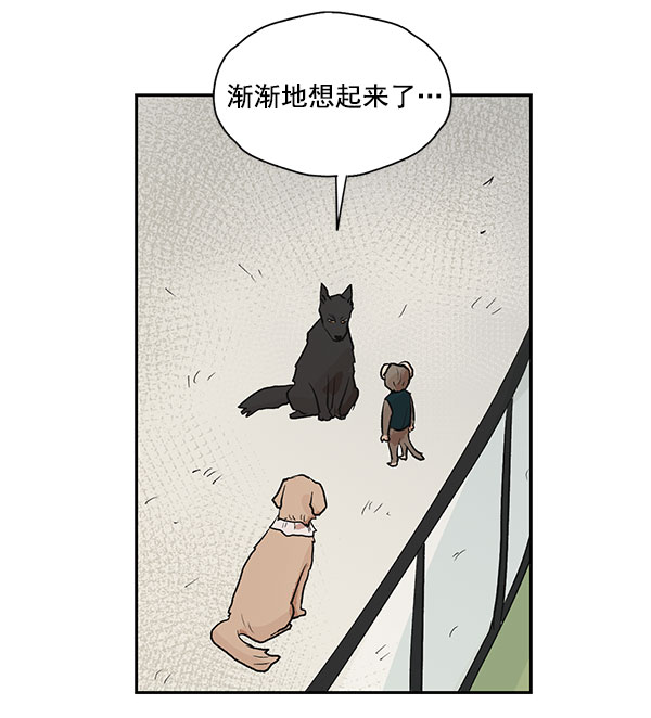 第37话27