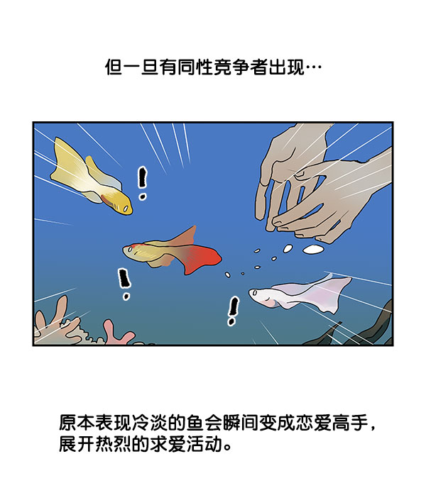第36话42