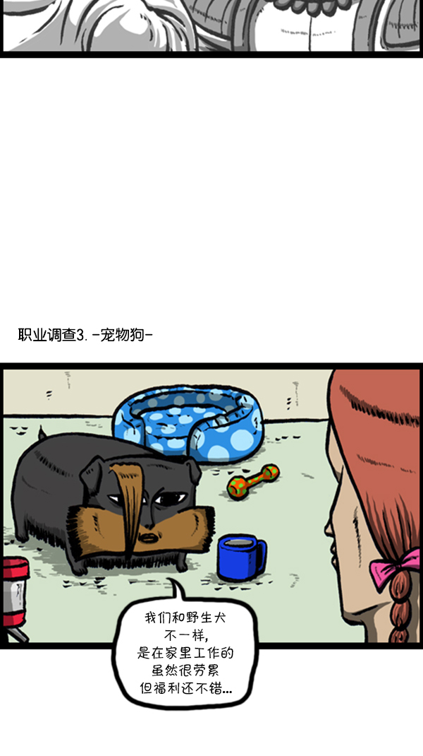[第229话] 2016年下半年职业调查11