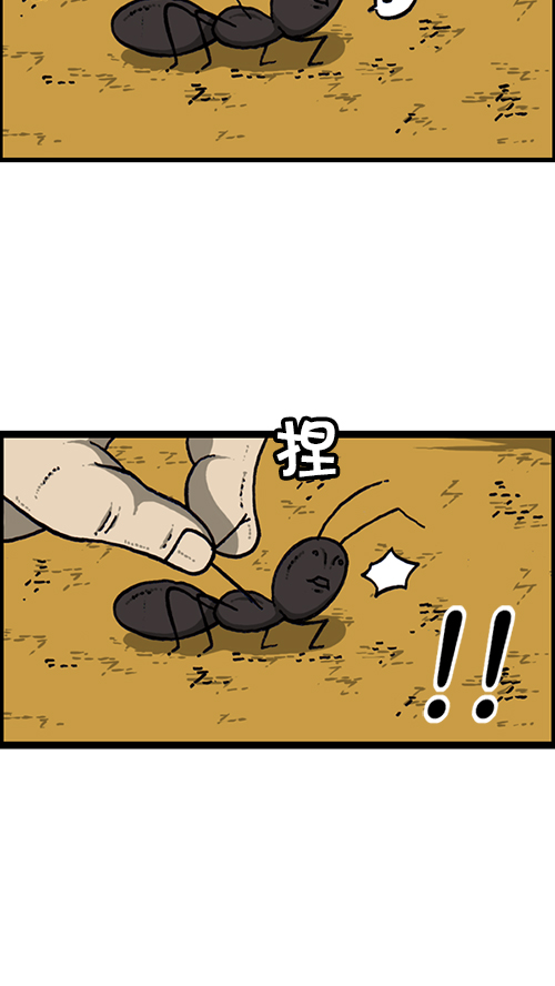 [第149话] 蚂蚁30