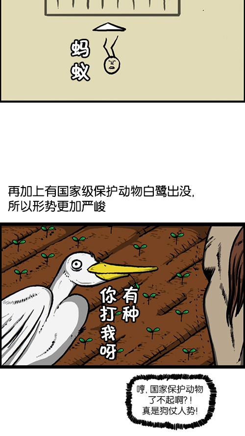 [第152话] 农田6
