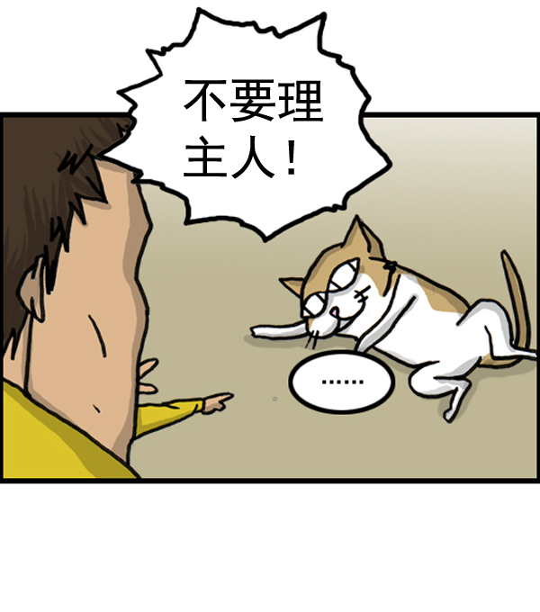 补充篇 [386话] 忠诚的猫咪11